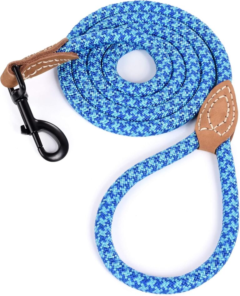 Mile High Life Mountain Climbing Dog Leash: 72″ Heavy Duty Rope with Metal Clasp & Genuine Leather (Sky Blue)